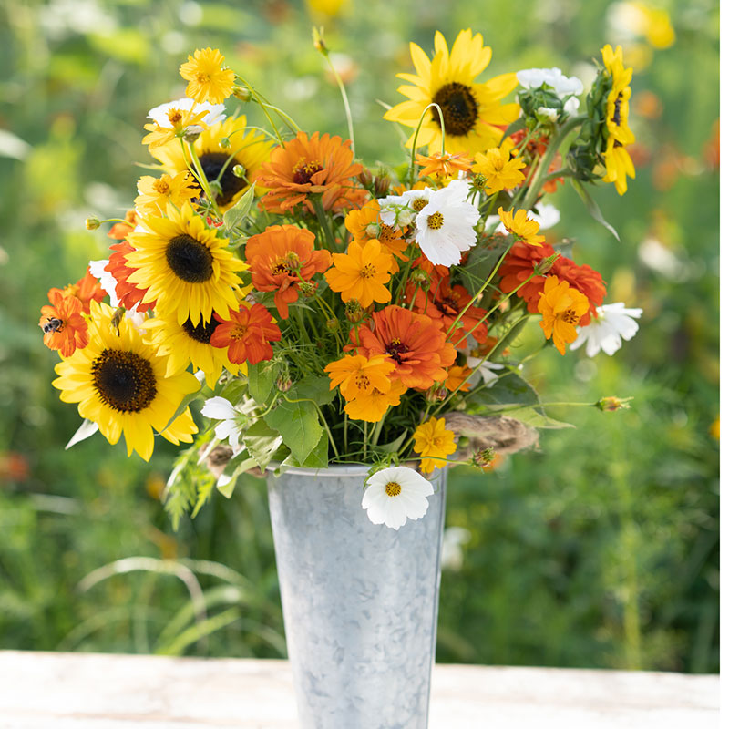 white flower seed mix Bulk Orange, Yellow & White Flower Seed Mix