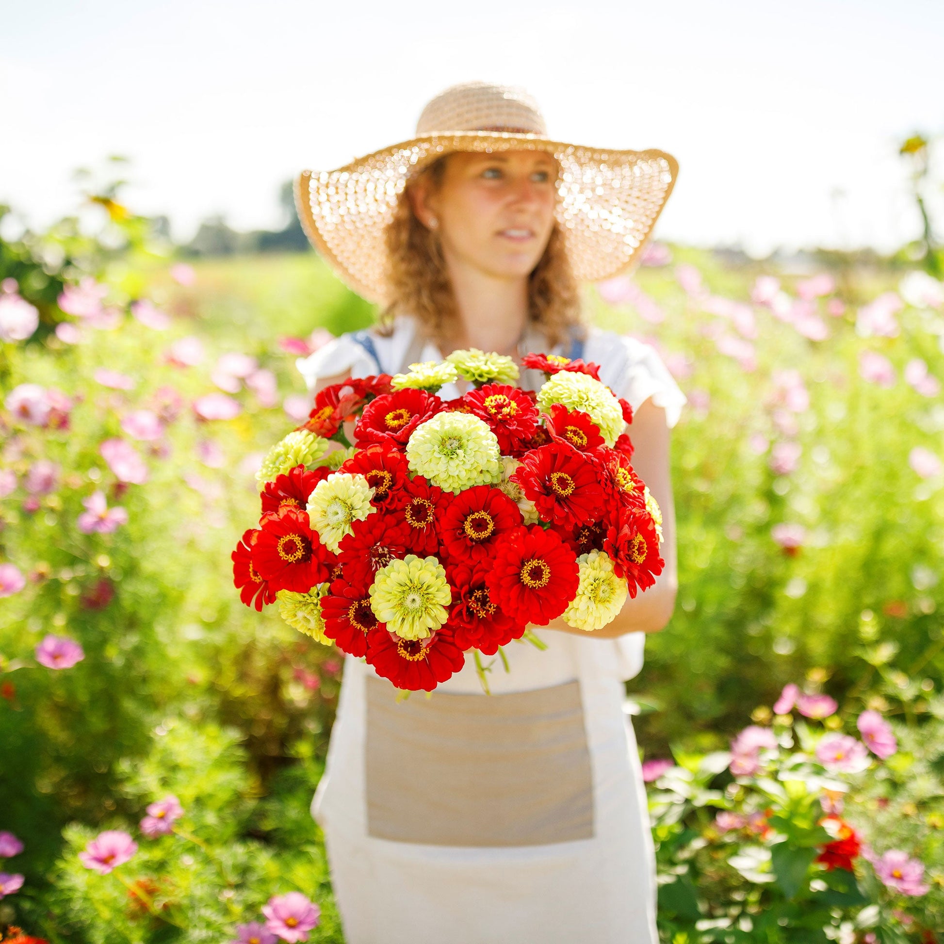 flower seeds to plant in july Bulk Zinnia Seeds