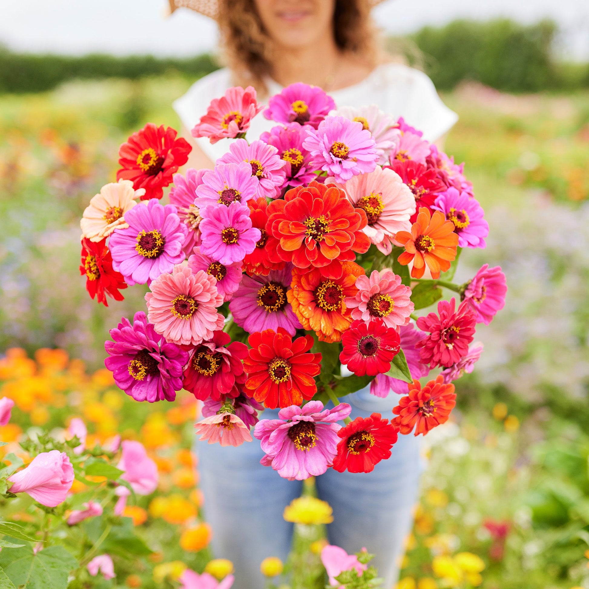best dahlia seeds Bulk Zinnia Seeds