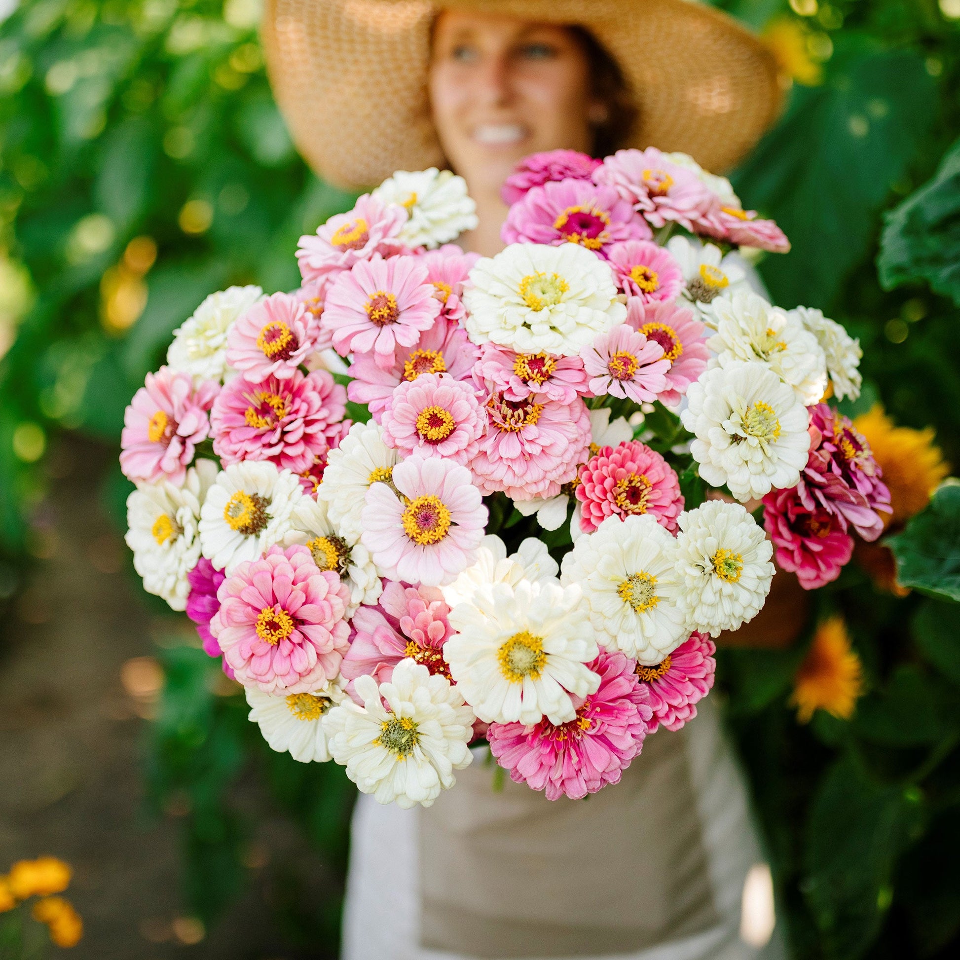 romantic flower seeds Bulk Zinnia Seeds