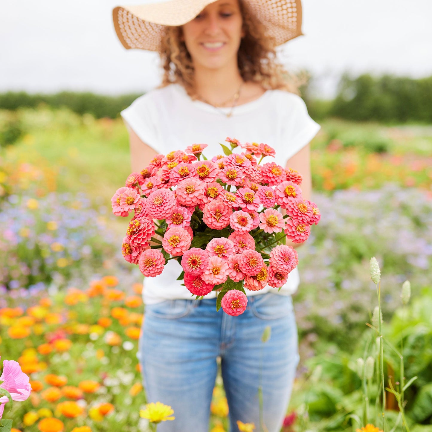 salmon lilliput zinnia 